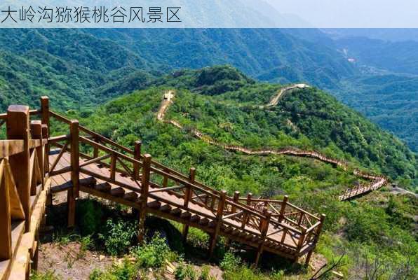 大岭沟猕猴桃谷风景区