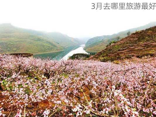 3月去哪里旅游最好