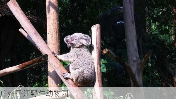 广州香江野生动物园