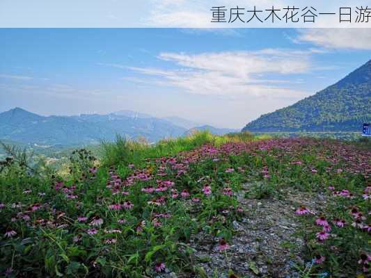 重庆大木花谷一日游