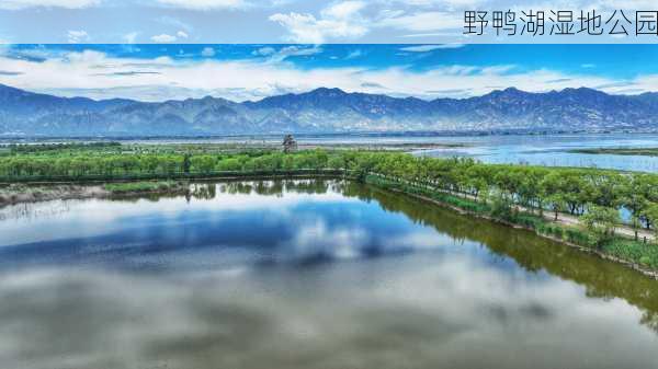 野鸭湖湿地公园