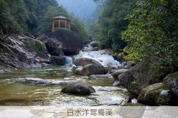 白水洋鸳鸯溪