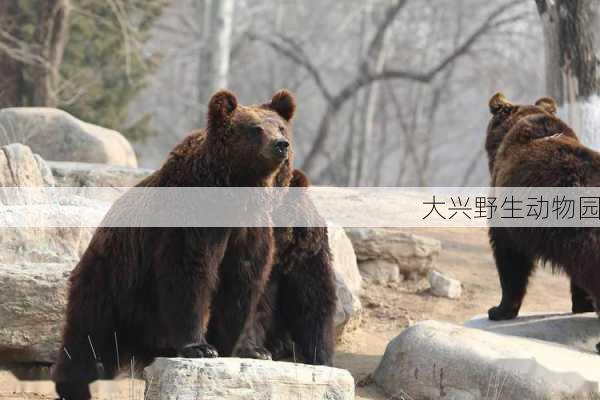 大兴野生动物园