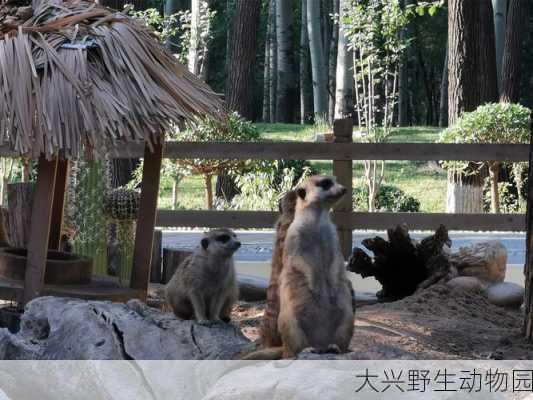 大兴野生动物园