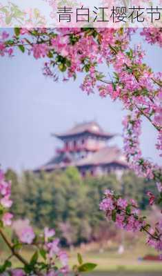 青白江樱花节