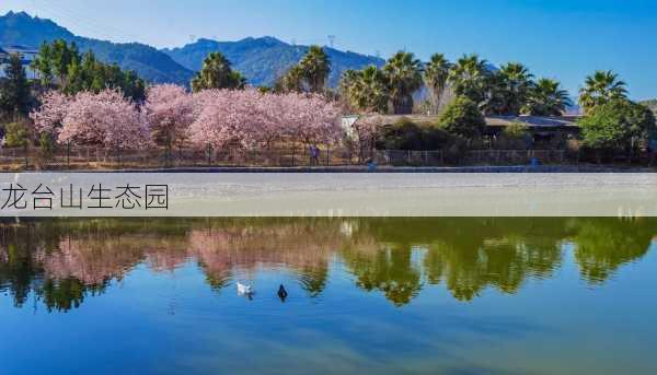 龙台山生态园