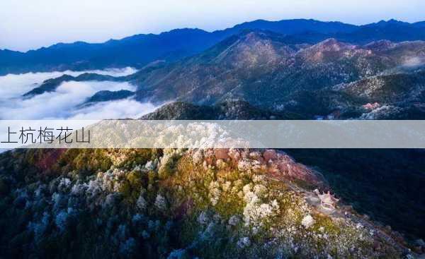 上杭梅花山