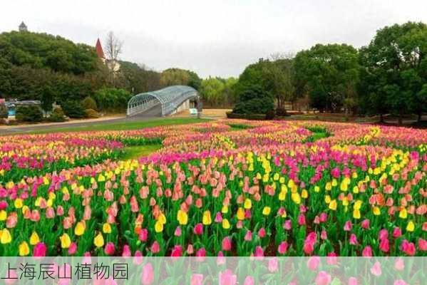 上海辰山植物园