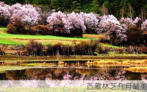 西藏林芝几月最美