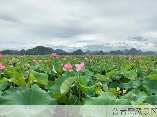 普者黑风景区