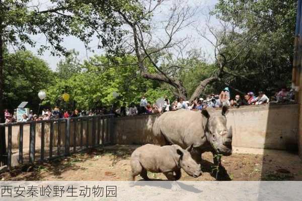 西安秦岭野生动物园