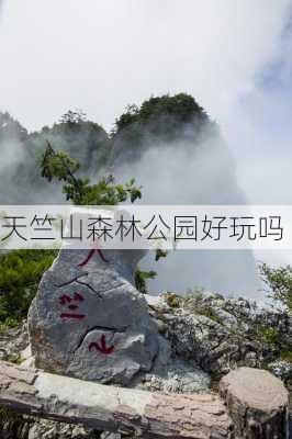 天竺山森林公园好玩吗