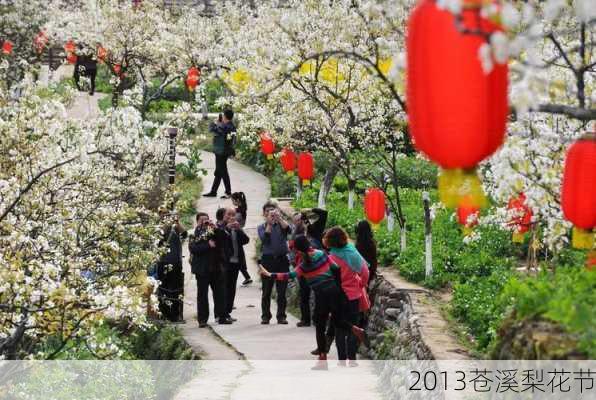 2013苍溪梨花节