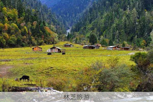 林芝旅游