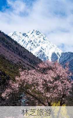 林芝旅游