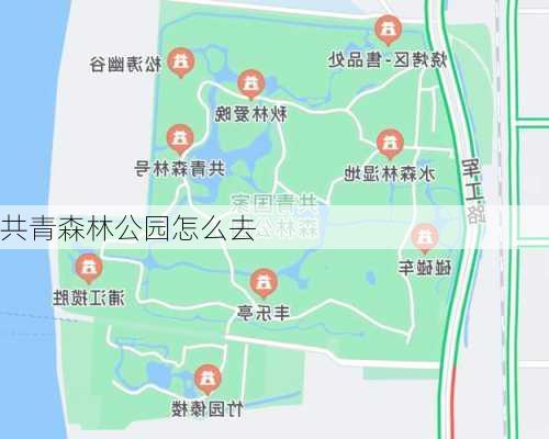 共青森林公园怎么去