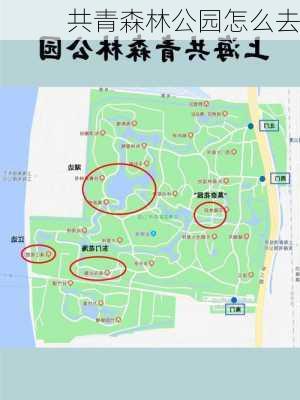 共青森林公园怎么去