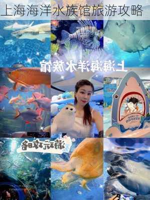 上海海洋水族馆旅游攻略