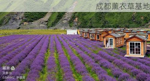 成都薰衣草基地