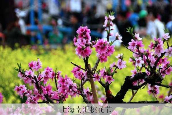 上海南汇桃花节