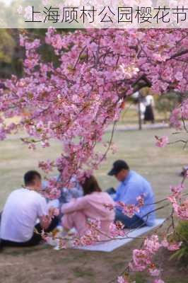 上海顾村公园樱花节