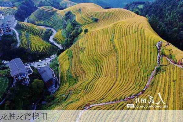 龙胜龙脊梯田