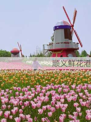 顺义鲜花港