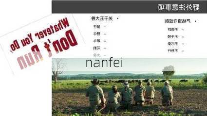 nanfei