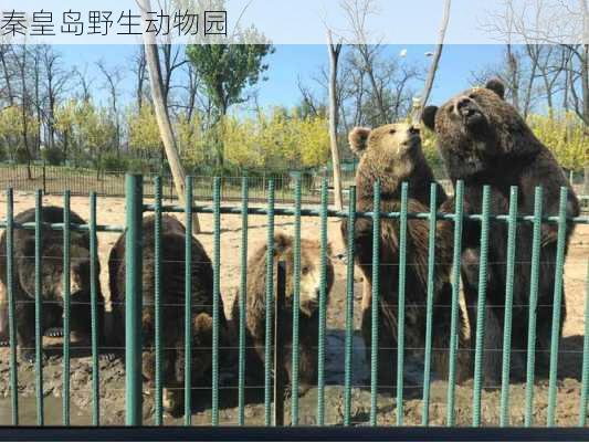 秦皇岛野生动物园