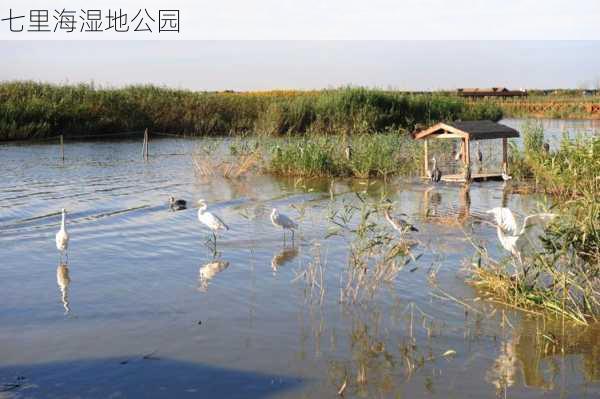 七里海湿地公园