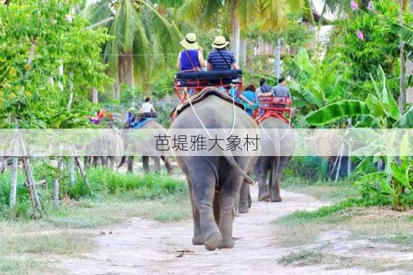 芭堤雅大象村