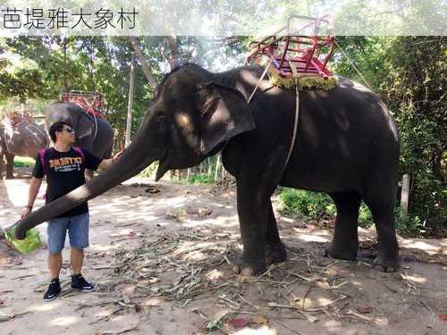 芭堤雅大象村