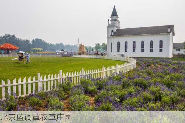 北京蓝调薰衣草庄园