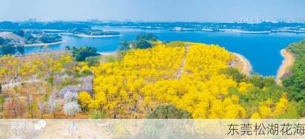 东莞松湖花海