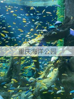 重庆海洋公园