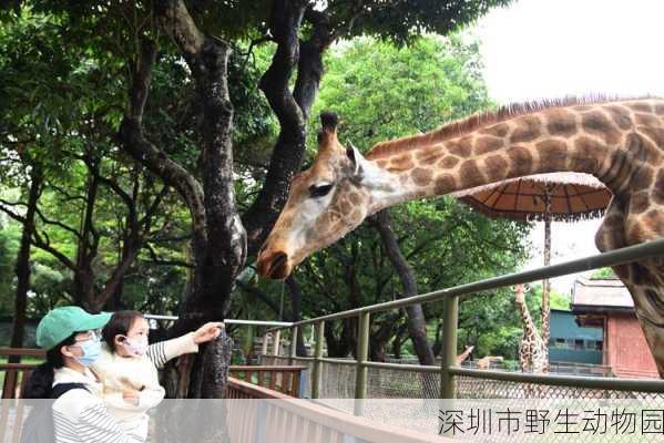 深圳市野生动物园