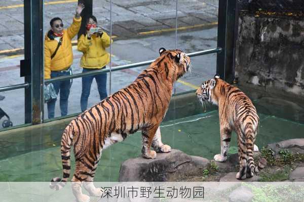 深圳市野生动物园