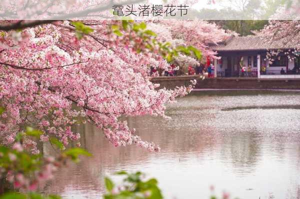 鼋头渚樱花节