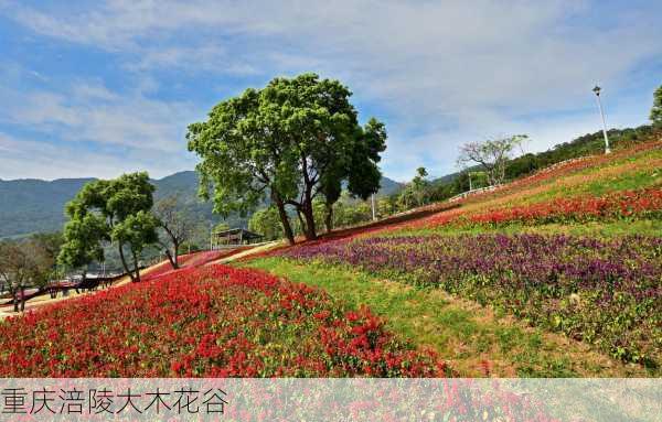 重庆涪陵大木花谷