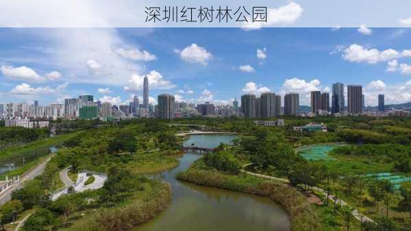 深圳红树林公园