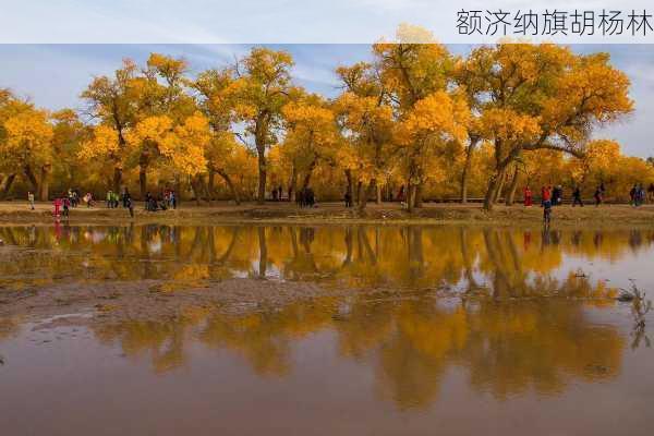 额济纳旗胡杨林