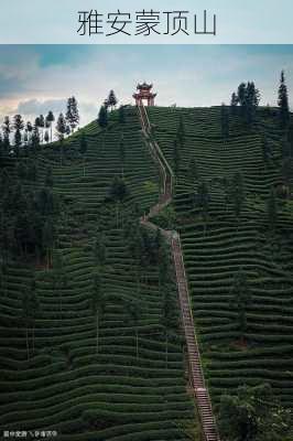 雅安蒙顶山