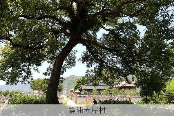 霞浦赤岸村