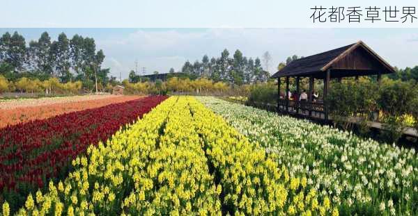 花都香草世界