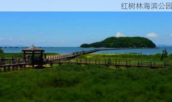 红树林海滨公园