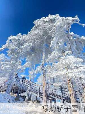 禄劝轿子雪山