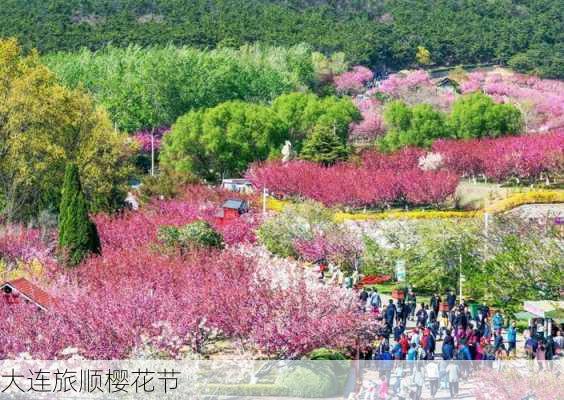 大连旅顺樱花节