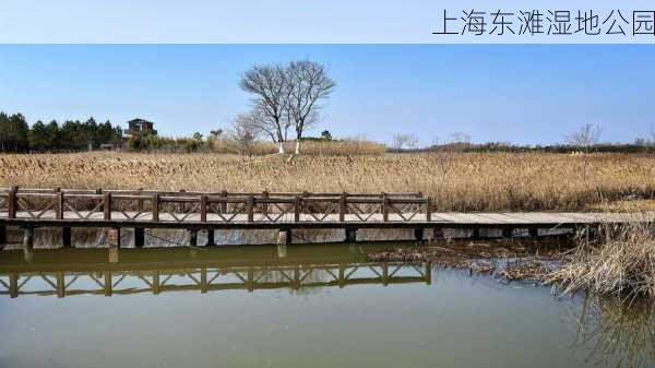 上海东滩湿地公园