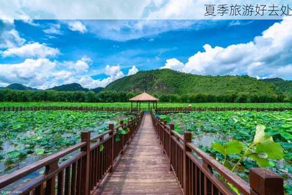 夏季旅游好去处