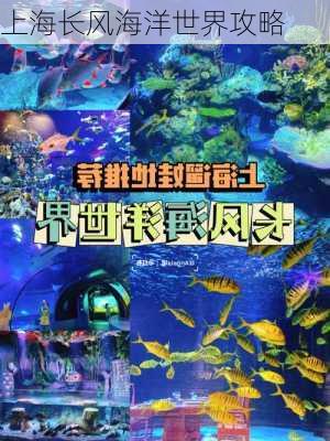 上海长风海洋世界攻略